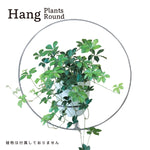 画像をギャラリービューアに読み込む, Hang Plants シリーズ Round 黒皮鉄
