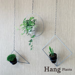 画像をギャラリービューアに読み込む, Hang Plants シリーズ Diamond 黒皮鉄
