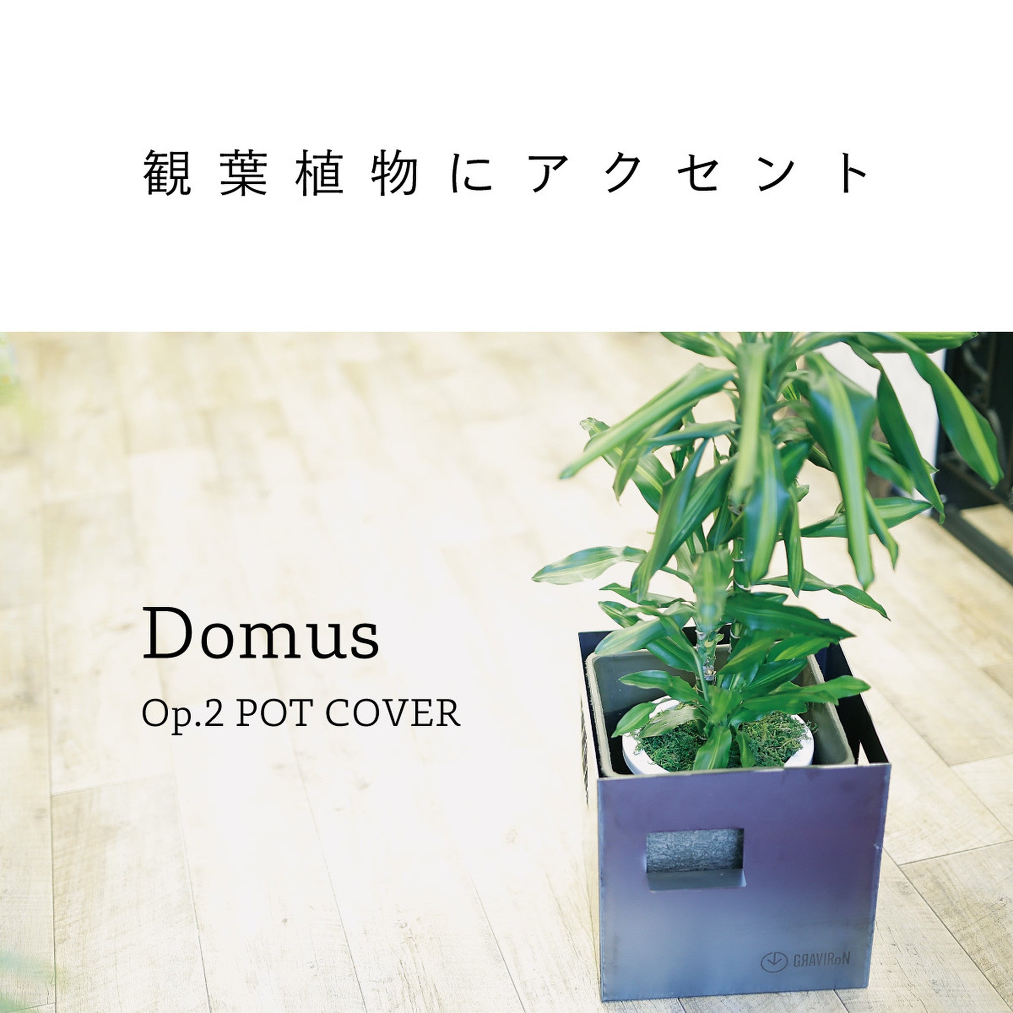 Domus Op.2 160mm角　黒皮鉄