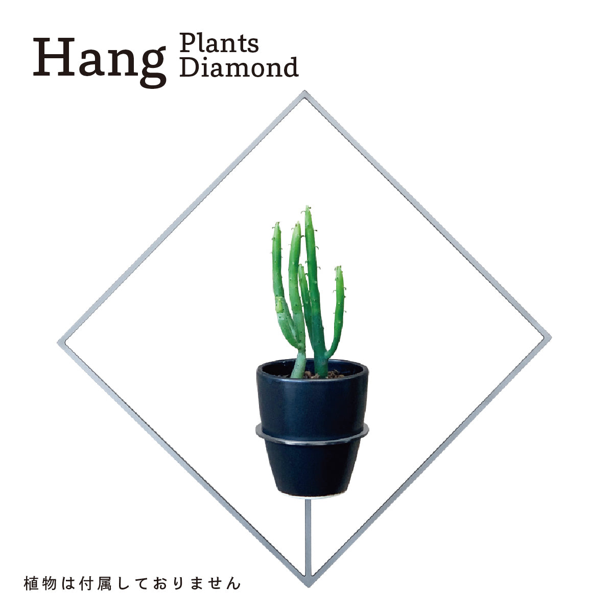 Hang Plants シリーズ Diamond 黒皮鉄