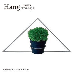 Hang Plants シリーズ Triangle 酸洗鉄