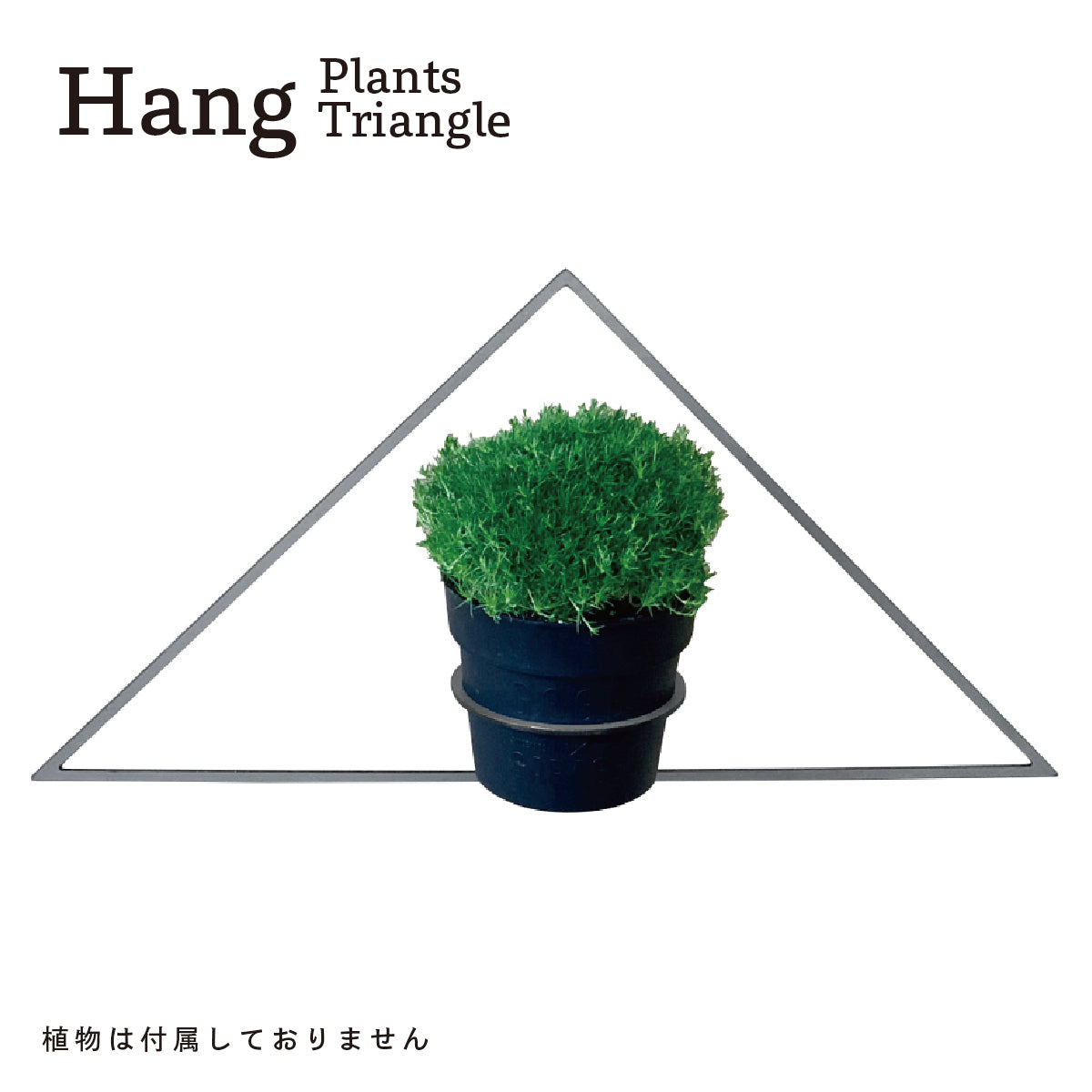 Hang Plants シリーズ Triangle 黒皮鉄