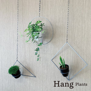 Hang Plants シリーズ Round 酸洗鉄