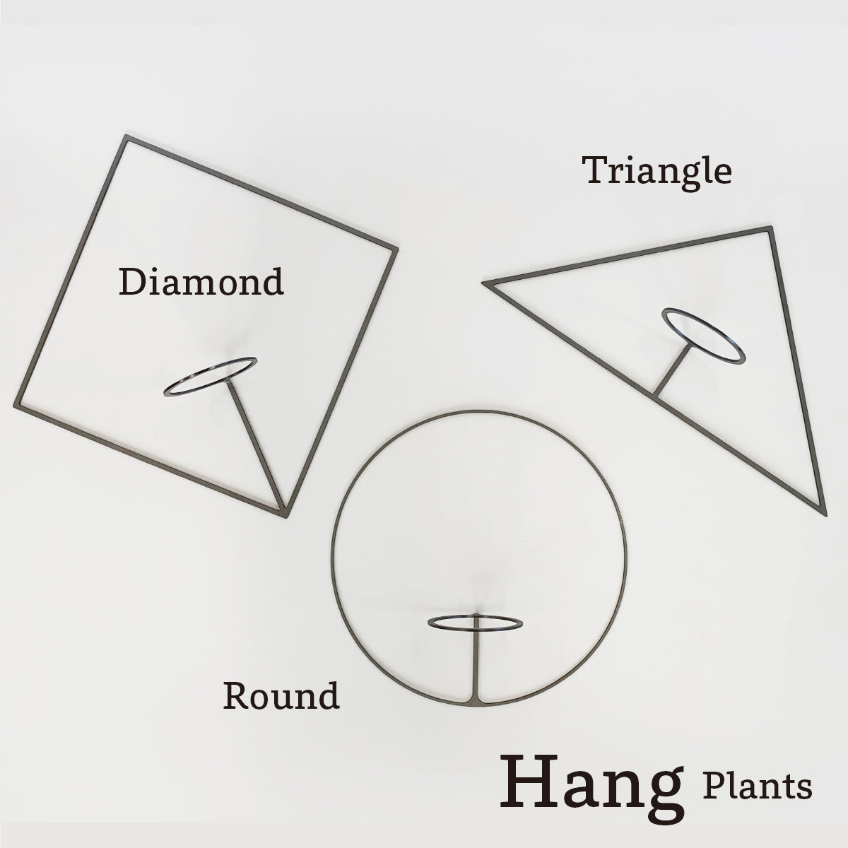 Hang Plants シリーズ Triangle 黒皮鉄